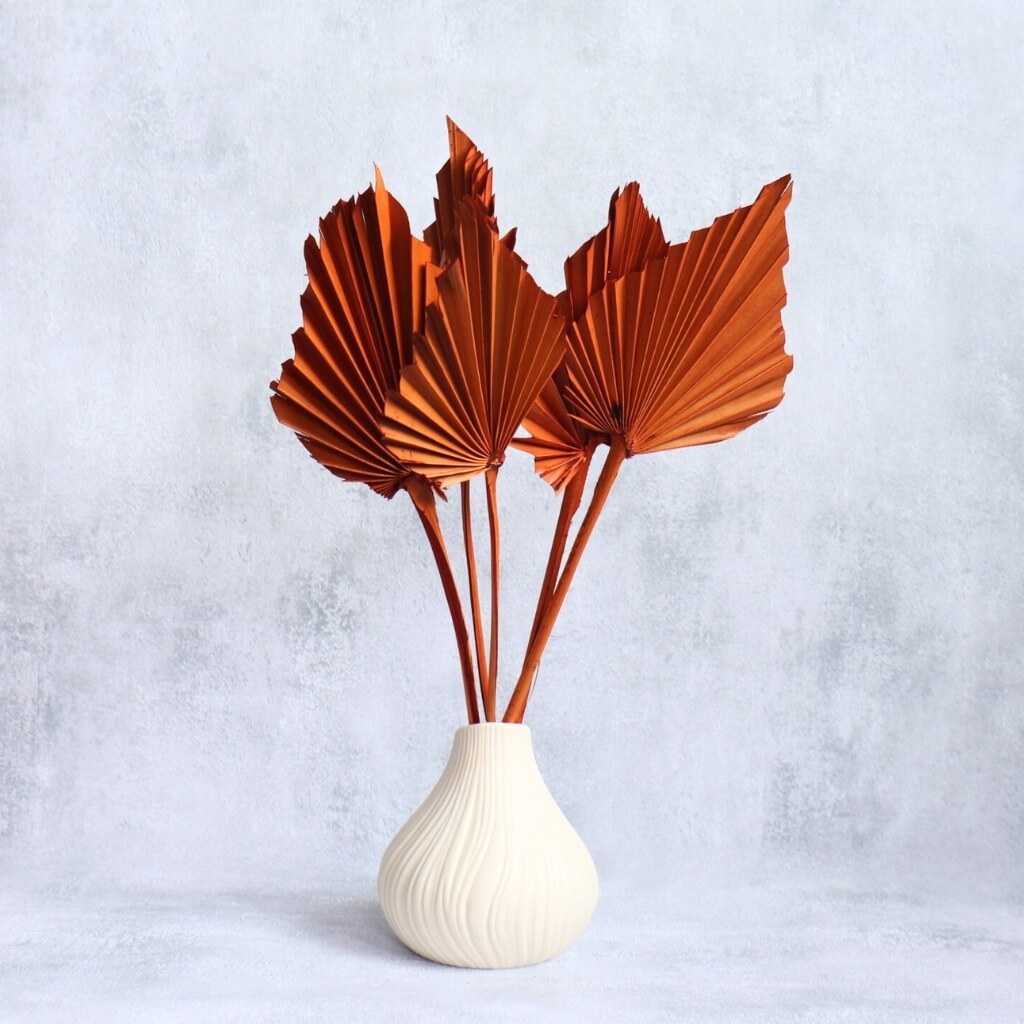 Sušený Palm Spear terracotta – exotický dekorativní prvek s teplým zemitým odstínem